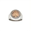 Anillo Profesión Paramédico - Plata y Oro-Sin Piedra-AP5045 ap5043