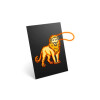 Kit de decoración de pared con luces de animales Kidyneon Kidywolf Kit de decoración de pared con luces de animales Kidyneon Kidywolf
