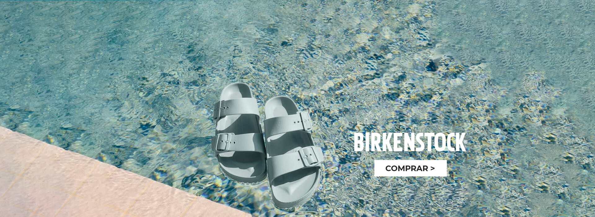 Birken dic