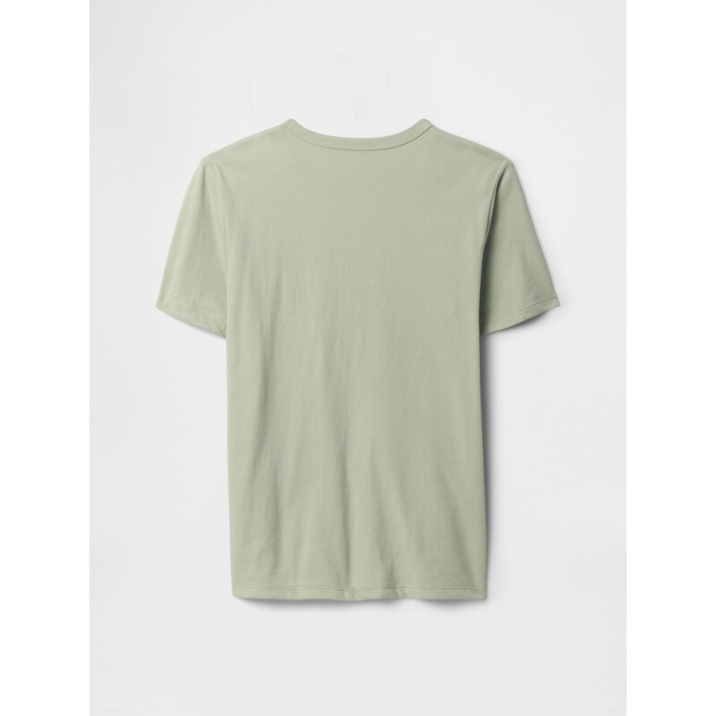 V-FEB SS VAL GR DESERT SAGE