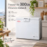 Freezer Horizontal 300 L Ks-fz300f FREEZER KASSEL 300L KS-FZ300F