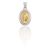 Dije Medalla Virgen Milagrosa Doble imagen-Plata y oro- Sin piedra- CP5042 sinpiedra