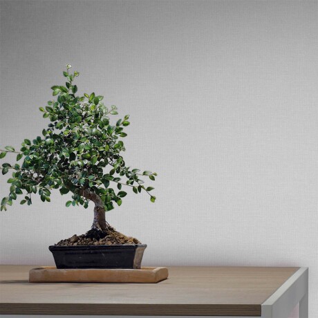 PAPEL PINTADO NAIF PLAIN PAPEL GRIS 10*0,53MTS