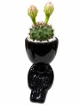 LITTLE PEOPLE CON CACTUS NEGRO