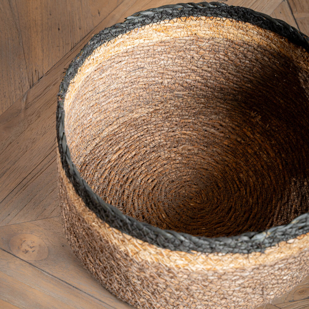 Canasto Babou, L Canasto Babou, L