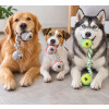 Juguete Para Perro De Cuerda y Dos Pelotas ROJO