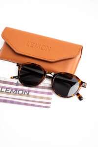 Lentes De Sol Polarizados Marron