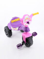 TRICICLO PRINCESAS VIOLETA