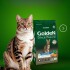GOLDEN NATURAL GATO CASTRADO CALABAZA Y ROMERO 10.1 KGS GOLDEN NATURAL GATO CASTRADO CALABAZA Y ROMERO 10.1 KGS