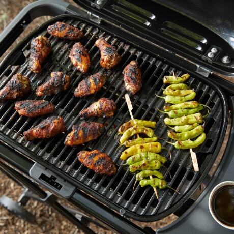 Barbacoa a Gas Portátil Weber Traveler Compact Plegable Negra Barbacoa a Gas Portátil Weber Traveler Compact Plegable Negra