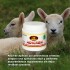 CREMA DE ORDEÑE ADICREM POTE 100 G CREMA DE ORDEÑE ADICREM POTE 100 G