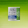 Acuarela Cotman - Winsor & Newton Tonos Verdes