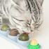 Pack x4 Golosina Gato Bola Giratoria Adhesiva Pared Snack Pack x4 Golosina Gato Bola Giratoria Adhesiva Pared Snack