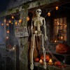 Esqueleto Articulado Halloween 40 cm N/a