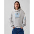 FIFA WORLD CUP HOODIES ARGENTINA