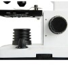 Microscopio Biológico Celestron Cm800 Microscopio Biológico Celestron Cm800