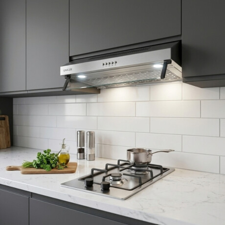 Extractor Purificador Nubia 60CM de Acero Inoxidable Pack De Extractor Purificador Nubia + Anafe A Gas Vulcano Duo 2 Acero Inoxidable