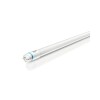 TUBO LED ECOFIT T8 60CM 8W VIDRIO PHILIPS Tubo Led Ecofit T8 60cm 8w Vidrio Philips