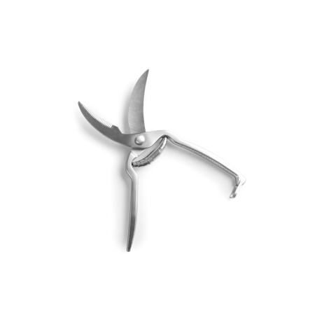 Tijera para Pollo 25 cm Acero Inoxidable Lacor Tijera para Pollo 25 cm Acero Inoxidable Lacor