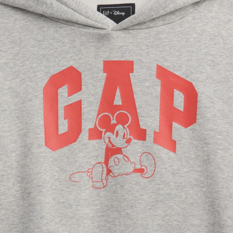 V-DIS FAM FALL LOGO PO B08