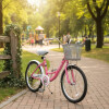 Bicicleta Rodado 20 Con Canasto Y Parrilla FUCSIA