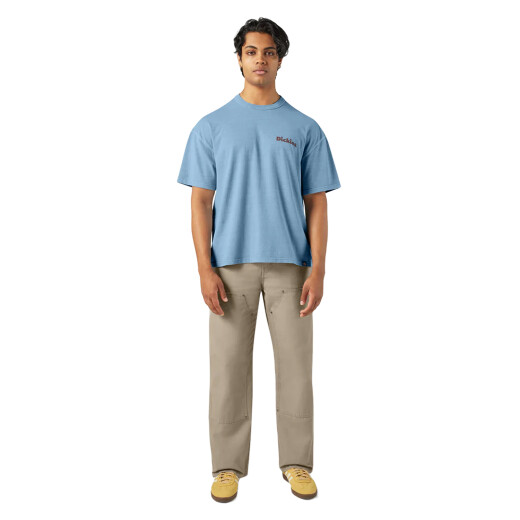 Remera Dickies Slayden - Multicolor Remera Dickies Slayden - Multicolor