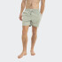 Short Reef Swim Liso Verde