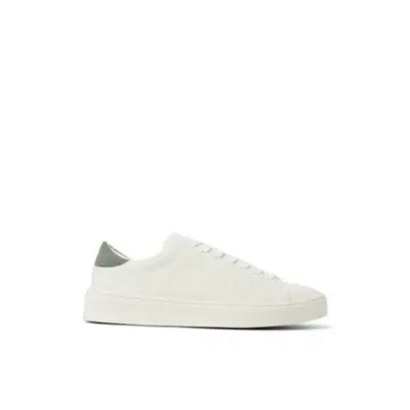 HOLLANDER BLACK BONE