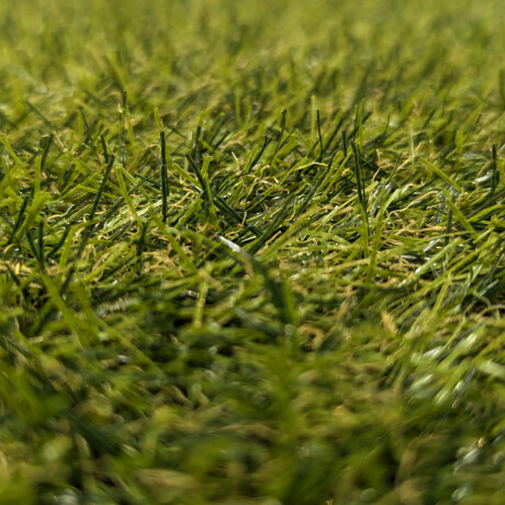 Cesped Artificial Pasto Sintetico 1.5cm Kikuyu Tupido Cesped Artificial Pasto Sintetico 1.5cm Kikuyu Tupido