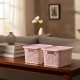 Set x2 Caja simil ratán 2,5 Lts ROSADO