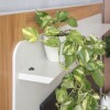 Modular para Tv Munique Nature/Blanco Modular para Tv Munique Nature/Blanco