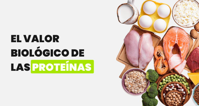 El valor biológico de las proteínas