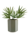 Maceta LUCAS Ø14xH16cm verde oscuro Maceta LUCAS Ø14xH16cm verde oscuro