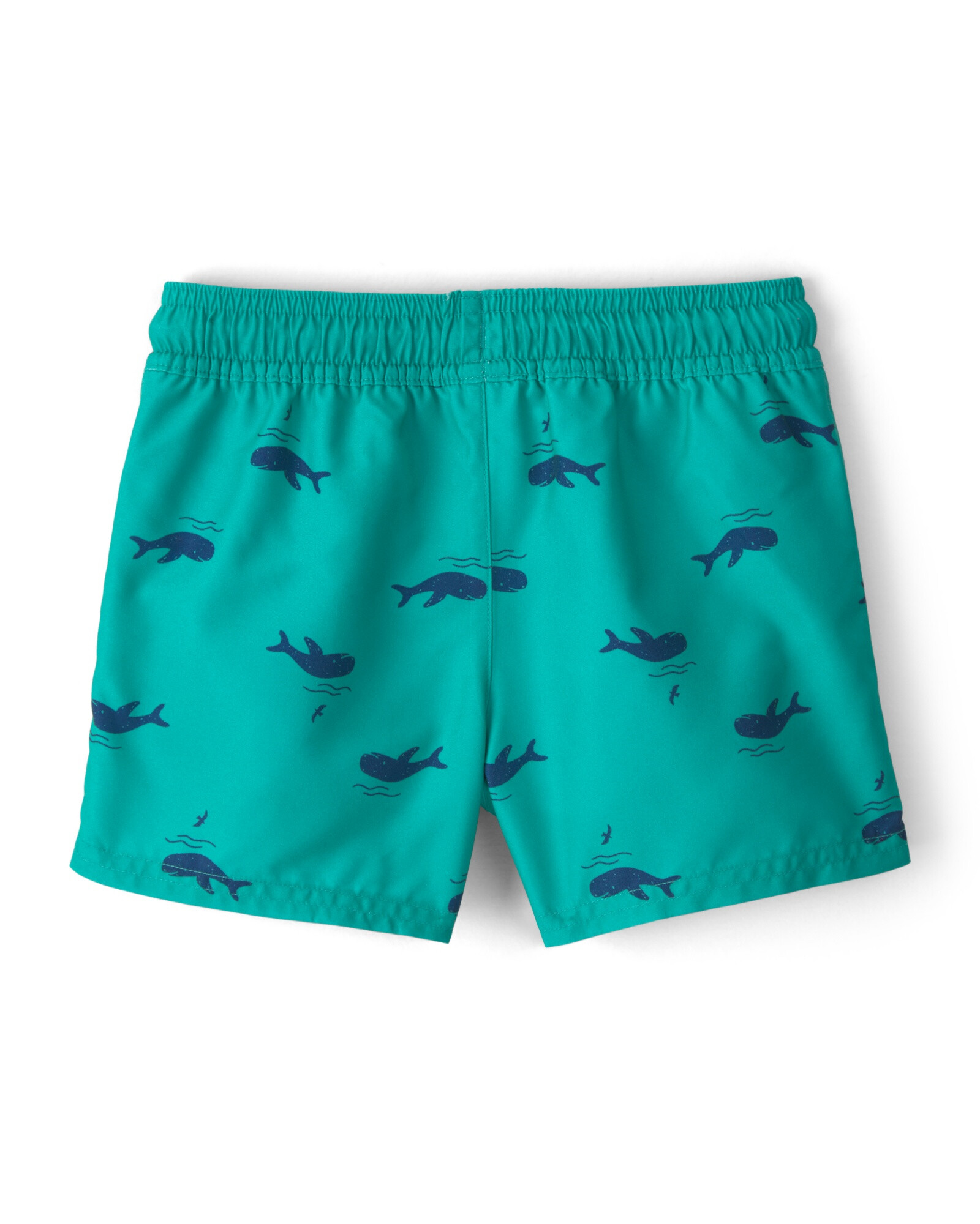 Short de baño con protección UPF 50+, verde, diseño ballenas Sin color