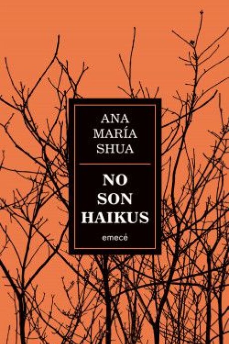 NO SON HAIKUS NO SON HAIKUS
