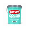 PINTURA TATUM COLOR MENTA 4LT Pintura Tatum Color Menta 4lt