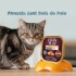 PATE GRAN PLUS GATO CASTRADO ADULTO SALMON ANTI BOLA DE PELO 100 GRS PATE GRAN PLUS GATO CASTRADO ADULTO SALMON ANTI BOLA DE PELO 100 GRS