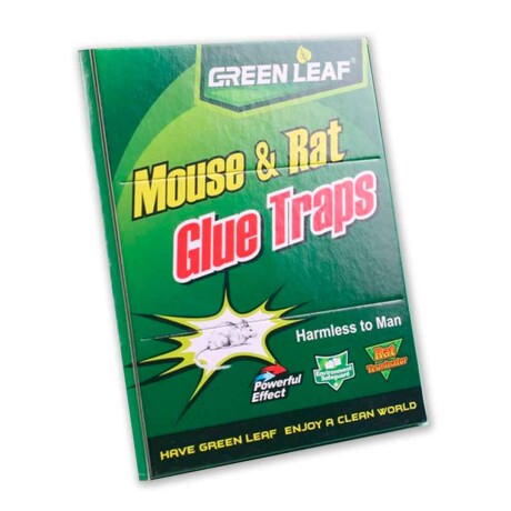 Trampa ara ratas y ratones adhesiva Green Leaf 001