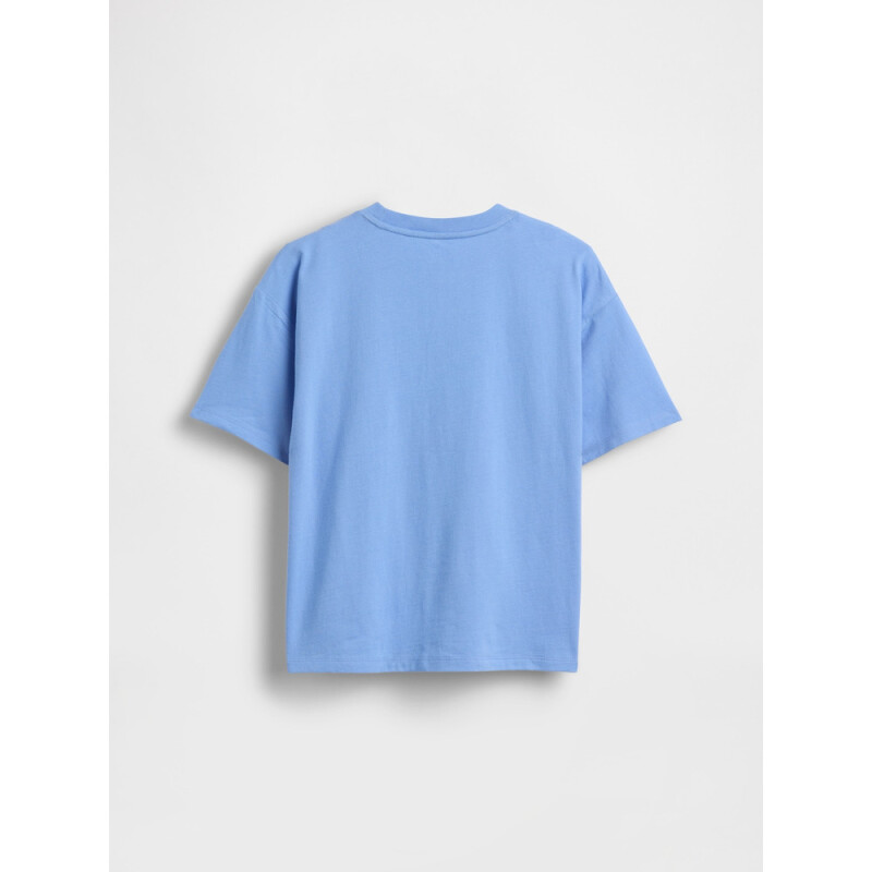 FR RELAXED SS LOGO T SHIRTING BLUE