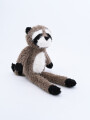 MAPACHE GRIS