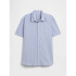 V-SS STANDARD POPLIN SP FAM BLUE GINGHAM
