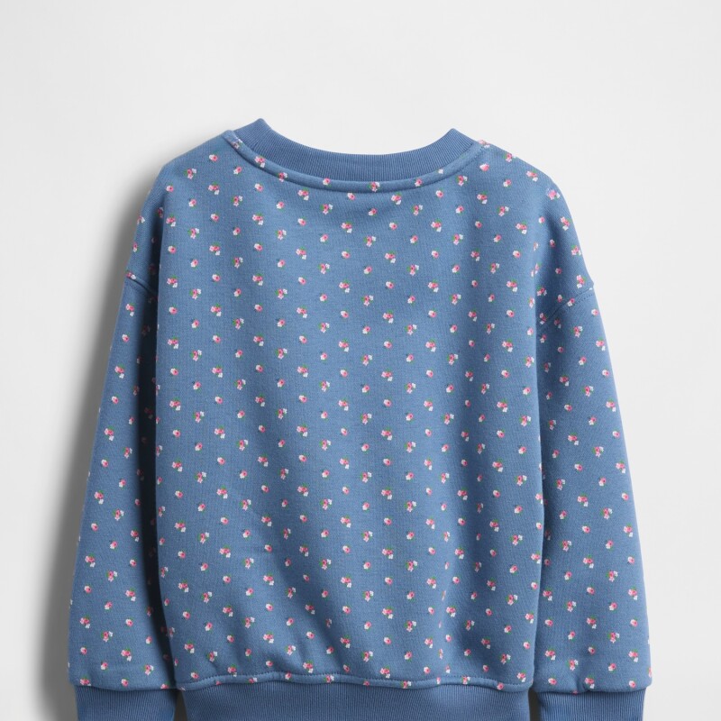 IE FRCH LOGO CREW CORNFLOWER829