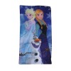 Sobre de dormir Disney infantil 66x117 cm Frozen