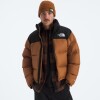 Campera de Pluma 1996 Nuptse hombre Burnt Umber/tnf Black
