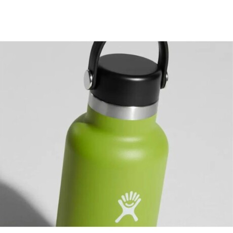 Botella 21 Oz (621ml) Standard Flex Hydro Flask Seagrass