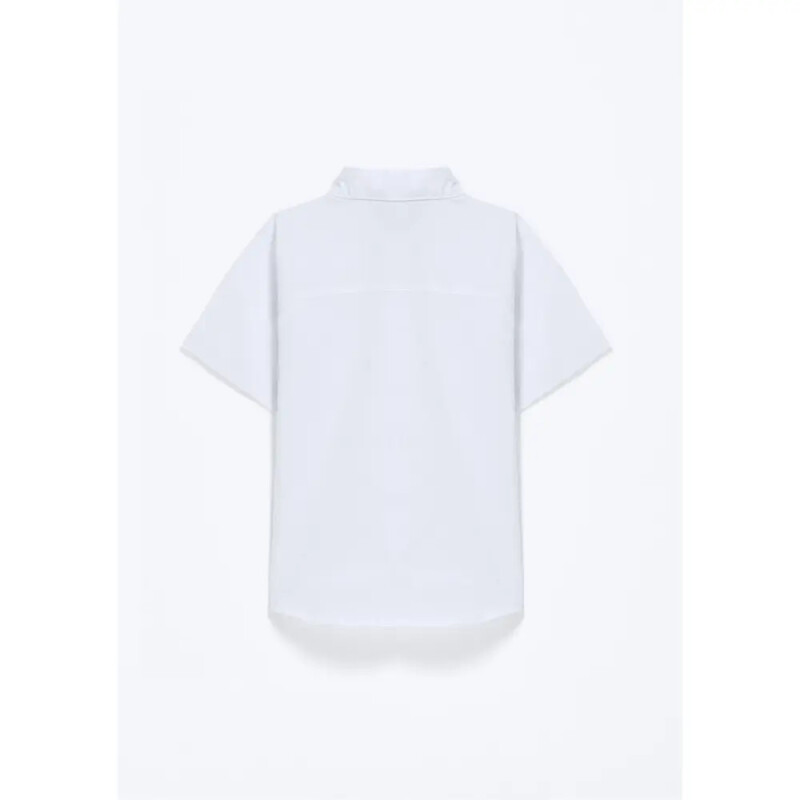 CAMISA MM MASC CAQUI ESCURO