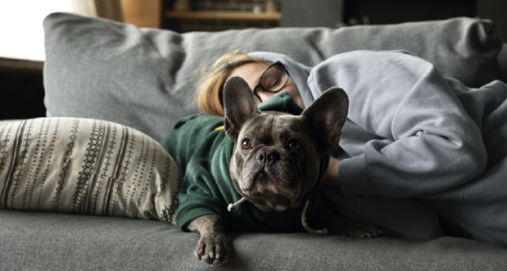 ¿Por qué aquaclean es la mejor tela para casas con mascotas?