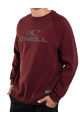 Buzo O'Neill Daily Wave Crewneck Rojo