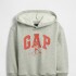 V-DISLOGO X GAP FAM PO SP DIS FAM B08