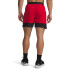 Vanish Graphic Short-RED RED-600